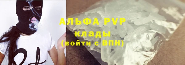 сатива Михайлов