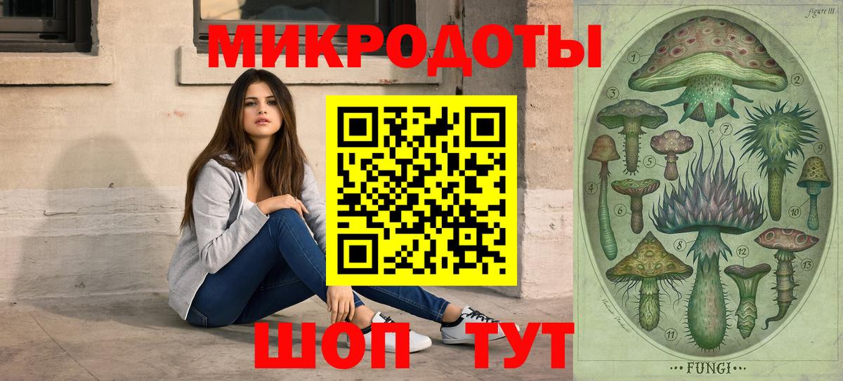 Псилоцибиновые грибы Cubensis Новочеркасск