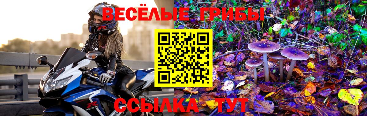 Новочеркасск  Галлюциногенные грибы MAGIC MUSHROOMS  Галлюциногенные грибы GOLDEN TEACHER  Вход с VPN 